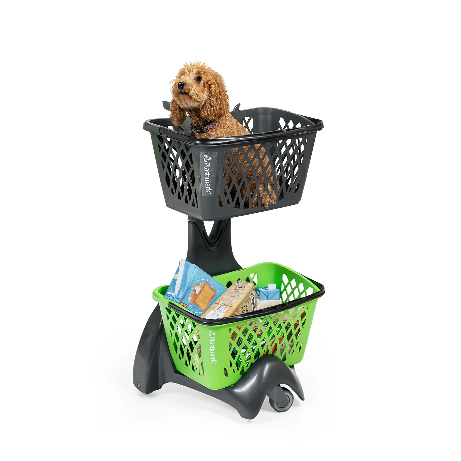 Kery pet customisation